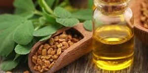 Fenugreek Oil